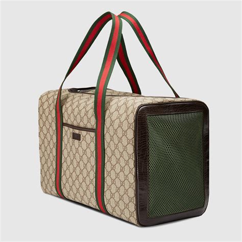 gucci dog bag replica